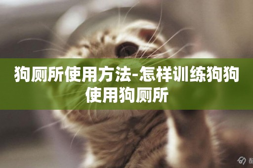 狗廁所使用方法-怎樣訓練狗狗使用狗廁所