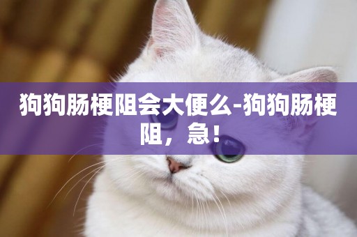 狗狗腸梗阻會大便么-狗狗腸梗阻，急！