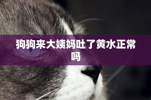 狗狗來大姨媽吐了黃水正常嗎