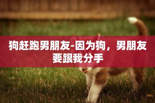 狗趕跑男朋友-因為狗，男朋友要跟我分手