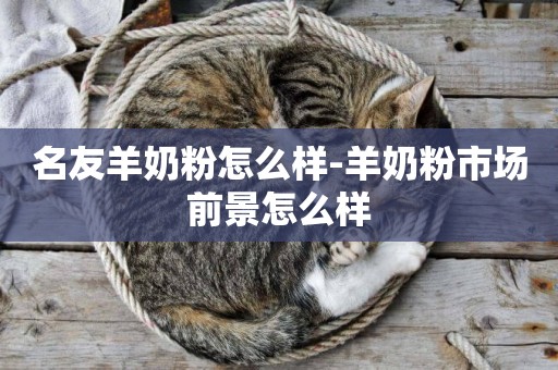名友羊奶粉怎么樣-羊奶粉市場前景怎么樣