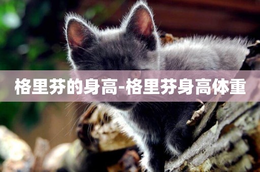 格里芬的身高-格里芬身高體重
