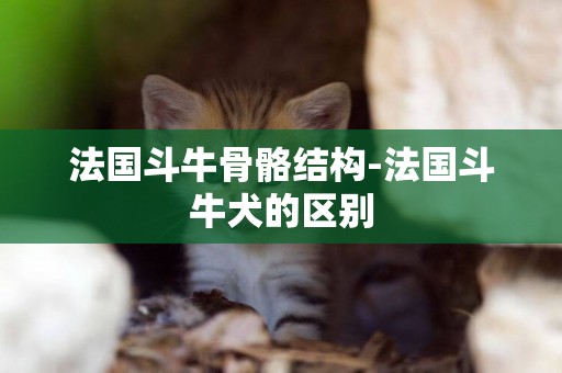 法國斗牛骨骼結構-法國斗牛犬的區別