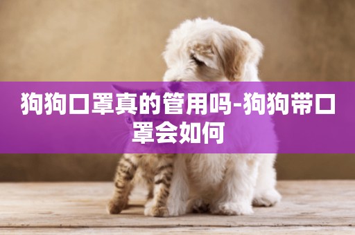 狗狗口罩真的管用嗎-狗狗帶口罩會如何
