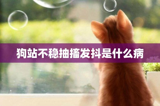 狗站不穩抽搐發抖是什么病