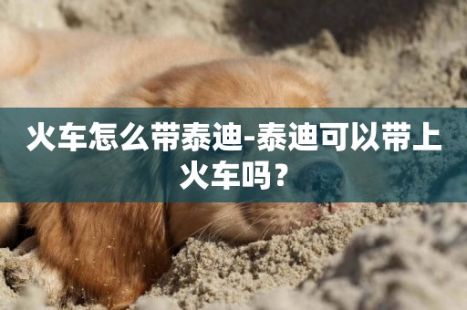 火車怎么帶泰迪-泰迪可以帶上火車嗎？