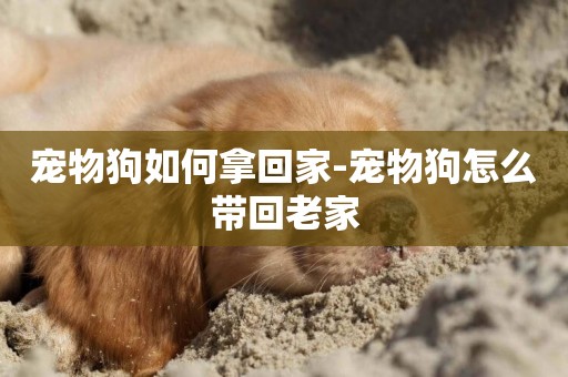 寵物狗如何拿回家-寵物狗怎么帶回老家