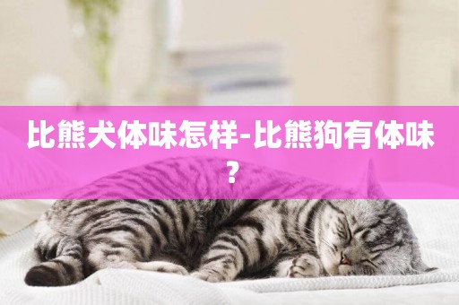 比熊犬體味怎樣-比熊狗有體味？