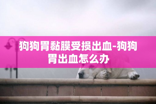 狗狗胃黏膜受損出血-狗狗胃出血怎么辦