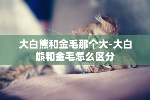 大白熊和金毛那個大-大白熊和金毛怎么區分