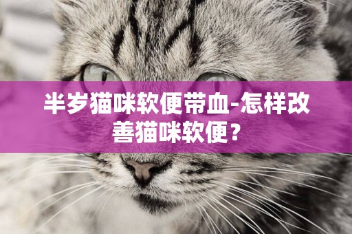 半歲貓咪軟便帶血-怎樣改善貓咪軟便？