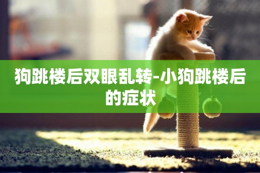 狗跳樓后雙眼亂轉-小狗跳樓后的癥狀