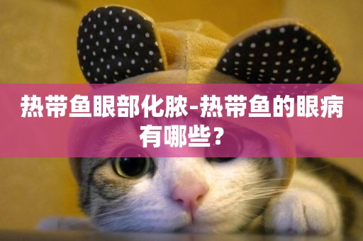 熱帶魚眼部化膿-熱帶魚的眼病有哪些？