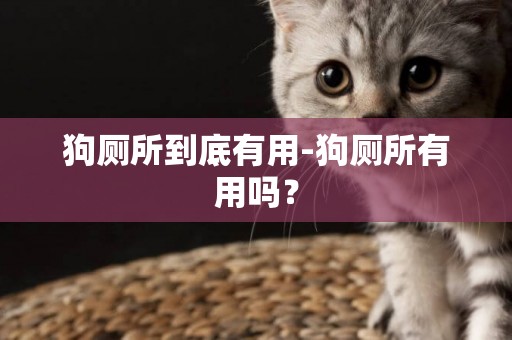 狗廁所到底有用-狗廁所有用嗎？