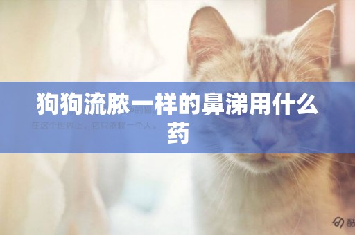 狗狗流膿一樣的鼻涕用什么藥