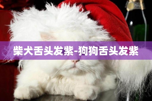 柴犬舌頭發紫-狗狗舌頭發紫
