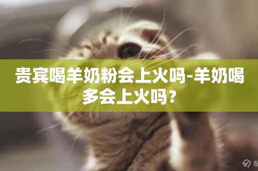 貴賓喝羊奶粉會上火嗎-羊奶喝多會上火嗎？