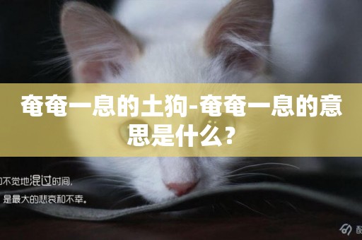 奄奄一息的土狗-奄奄一息的意思是什么？