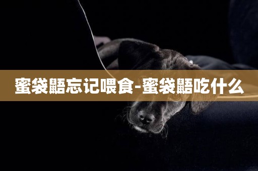 蜜袋鼯忘記喂食-蜜袋鼯吃什么
