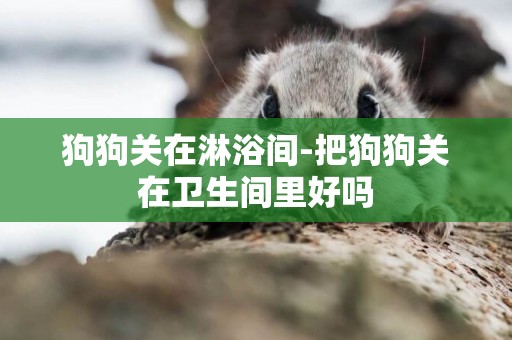 狗狗關在淋浴間-把狗狗關在衛生間里好嗎