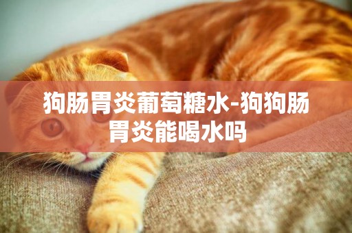 狗腸胃炎葡萄糖水-狗狗腸胃炎能喝水嗎