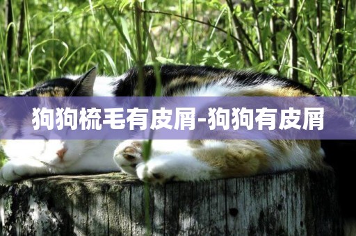 狗狗梳毛有皮屑-狗狗有皮屑