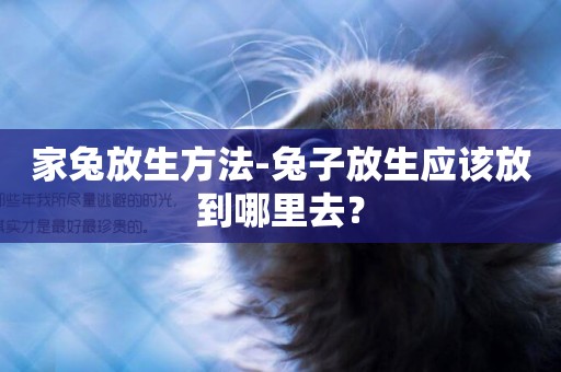 家兔放生方法-兔子放生應該放到哪里去？