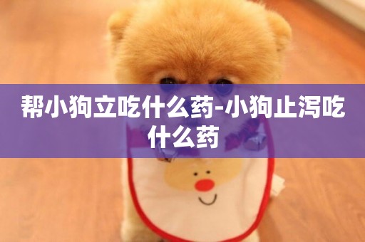 幫小狗立吃什么藥-小狗止瀉吃什么藥