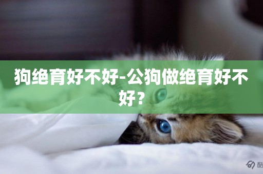 狗絕育好不好-公狗做絕育好不好？