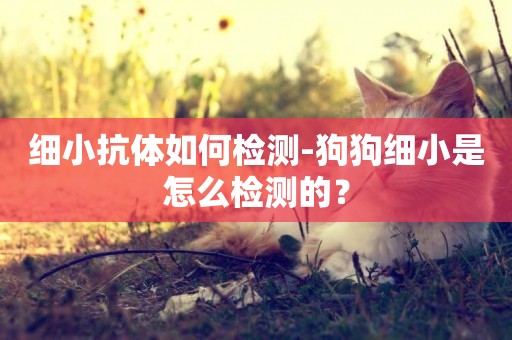 細小抗體如何檢測-狗狗細小是怎么檢測的？