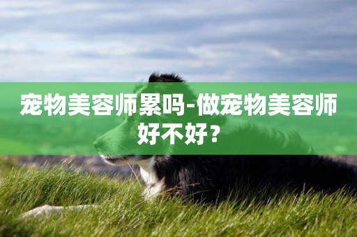 寵物美容師累嗎-做寵物美容師好不好？