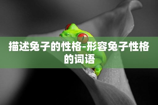 描述兔子的性格-形容兔子性格的詞語