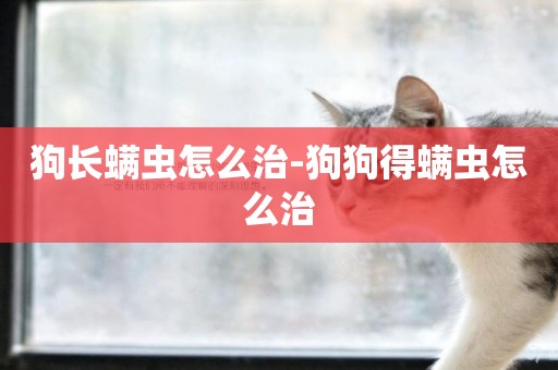 狗長螨蟲怎么治-狗狗得螨蟲怎么治