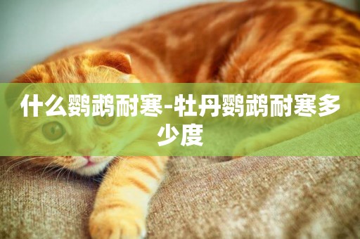 什么鸚鵡耐寒-牡丹鸚鵡耐寒多少度