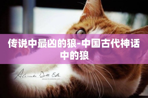 傳說中最兇的狼-中國古代神話中的狼