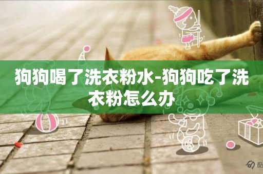 狗狗喝了洗衣粉水-狗狗吃了洗衣粉怎么辦
