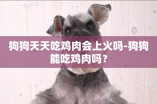 狗狗天天吃雞肉會上火嗎-狗狗能吃雞肉嗎？