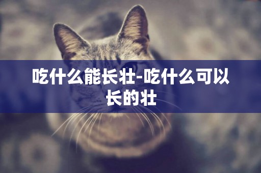 吃什么能長壯-吃什么可以長的壯