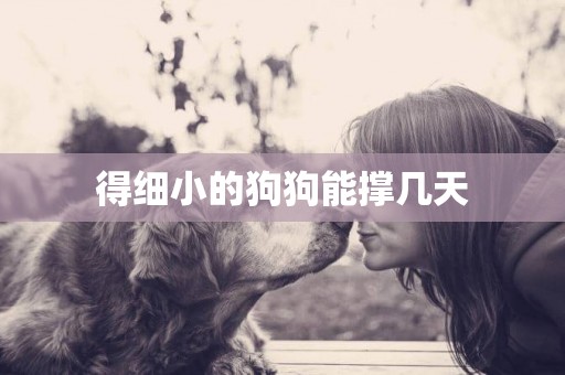 得細小的狗狗能撐幾天