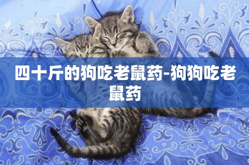四十斤的狗吃老鼠藥-狗狗吃老鼠藥