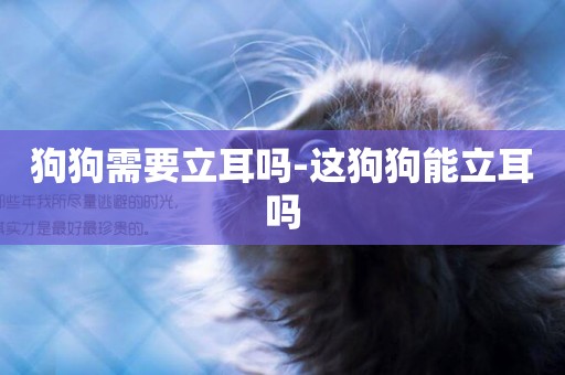 狗狗需要立耳嗎-這狗狗能立耳嗎