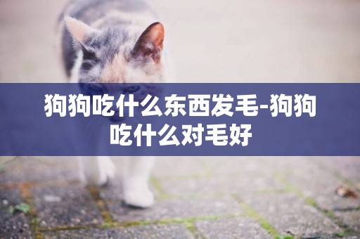 狗狗吃什么東西發毛-狗狗吃什么對毛好