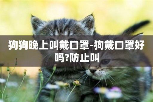 狗狗晚上叫戴口罩-狗戴口罩好嗎?防止叫
