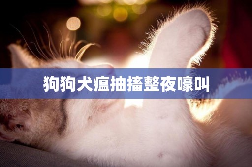 狗狗犬瘟抽搐整夜嚎叫