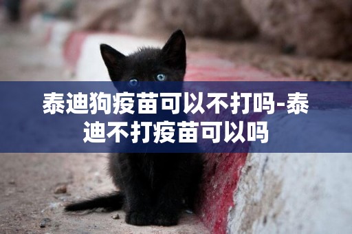 泰迪狗疫苗可以不打嗎-泰迪不打疫苗可以嗎