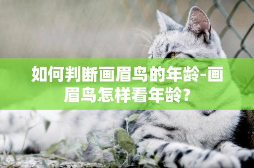 如何判斷畫眉鳥的年齡-畫眉鳥怎樣看年齡？