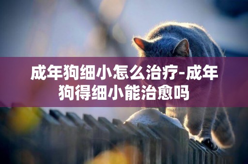 成年狗細小怎么治療-成年狗得細小能治愈嗎