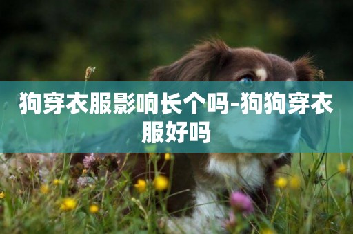 狗穿衣服影響長個嗎-狗狗穿衣服好嗎