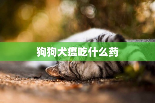 狗狗犬瘟吃什么藥
