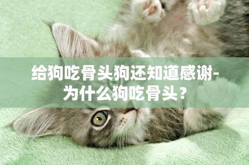 給狗吃骨頭狗還知道感謝-為什么狗吃骨頭？